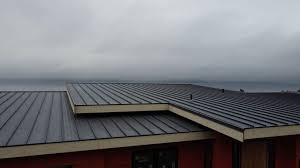 Best Sheet Metal Roofing  in Georgetown, CO